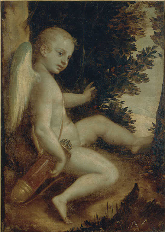 vedi foto